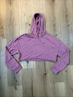 PacSun Cropped Dusty Rose Crop Hoodie